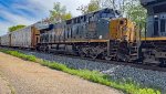CSX 3159 all elephant style.